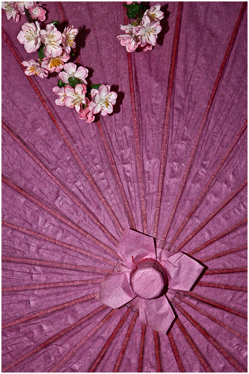 Floral umbrella no 1 pres s